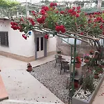 Banina شقة *