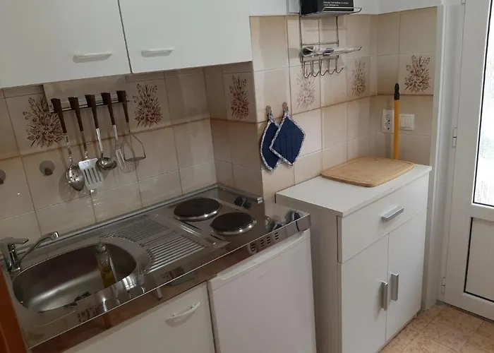 Apartman Banina *