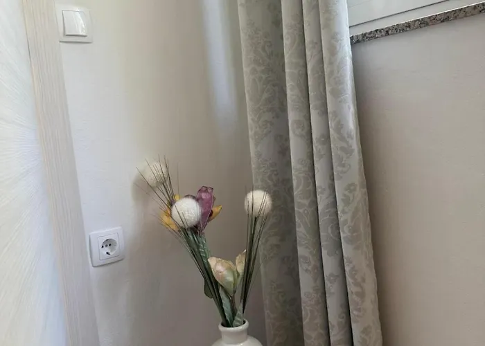 Banina Apartman *