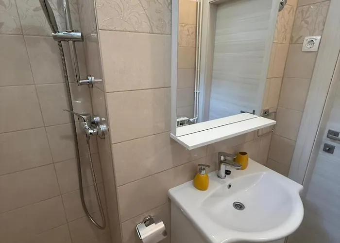 Apartman Banina *