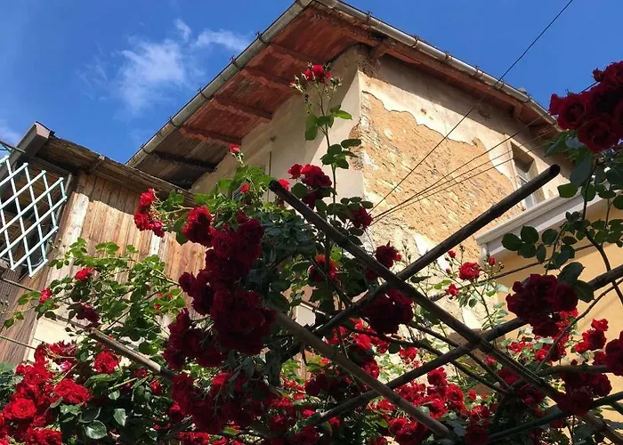 Apartman Banina Ika